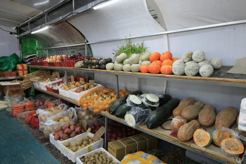 除夕不打烊！海淀北部水鄉市場 鮮貨滿溢，百貨齊全